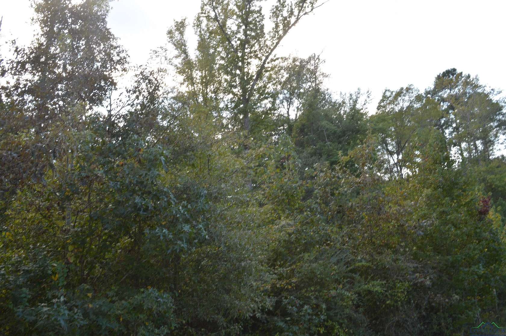 6 Acres of Land for Sale in Jefferson, Texas