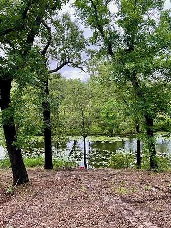 5.52 Acres of Residential Land for Sale in Athens, Texas