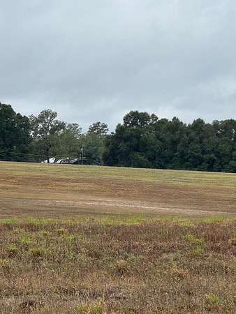 20 Acres of Recreational Land for Sale in Geneva, Alabama