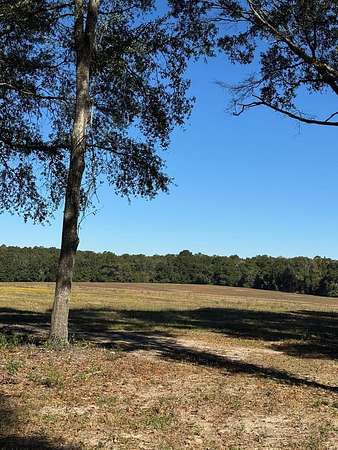 20 Acres of Recreational Land for Sale in Geneva, Alabama