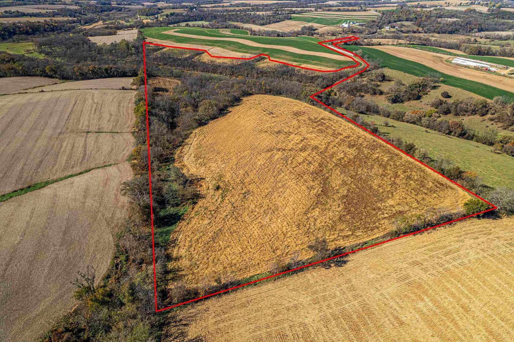 45.4 Acres of Recreational Land & Farm for Sale in Argyle, Wisconsin