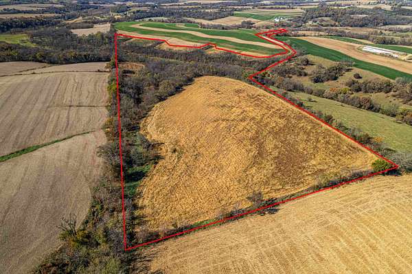 45.4 Acres of Recreational Land & Farm for Sale in Argyle, Wisconsin