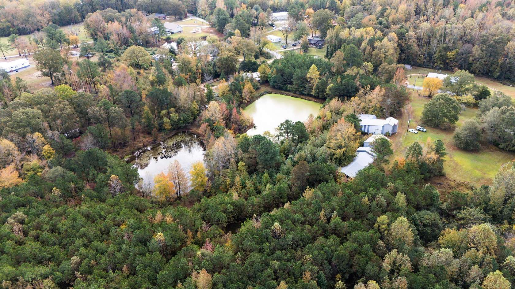 15 Acres of Land for Sale in Haleyville, Alabama