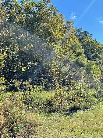 185 Acres of Recreational Land for Sale in Salyersville, Kentucky
