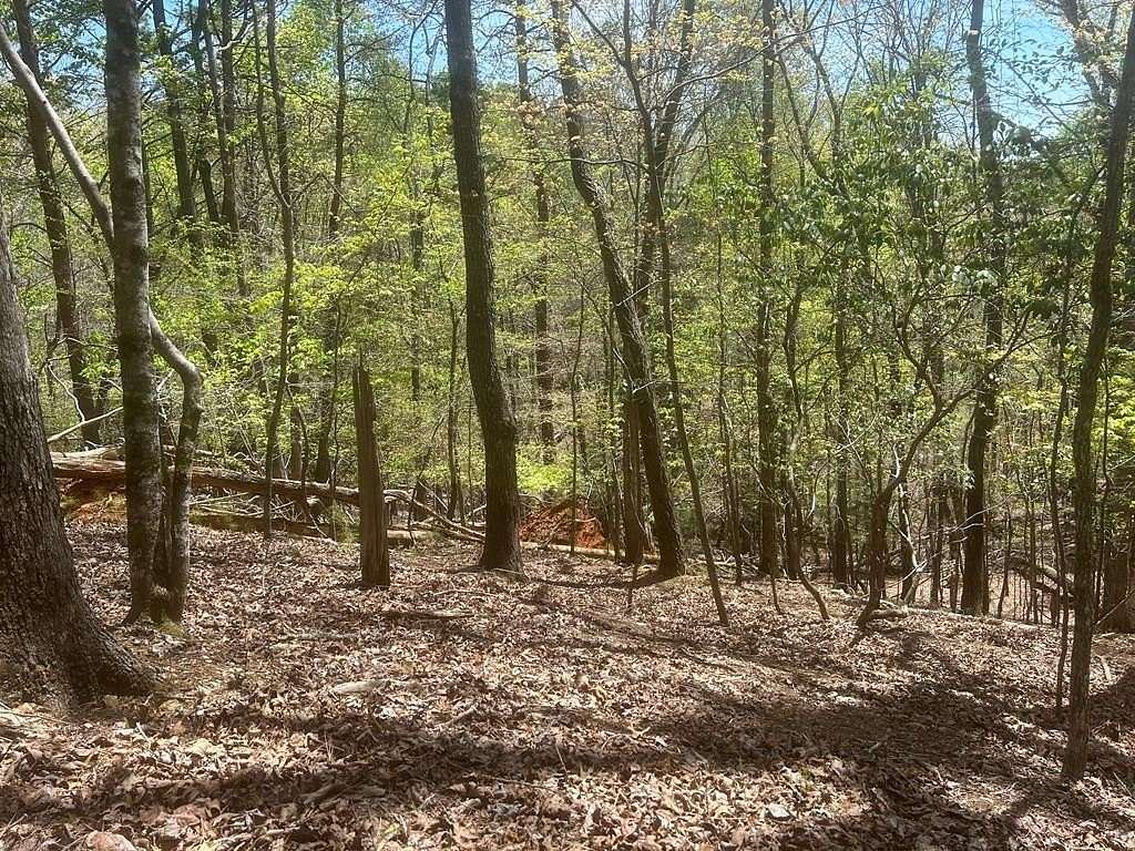 0.67 Acres of Land for Sale in Ellijay, Georgia