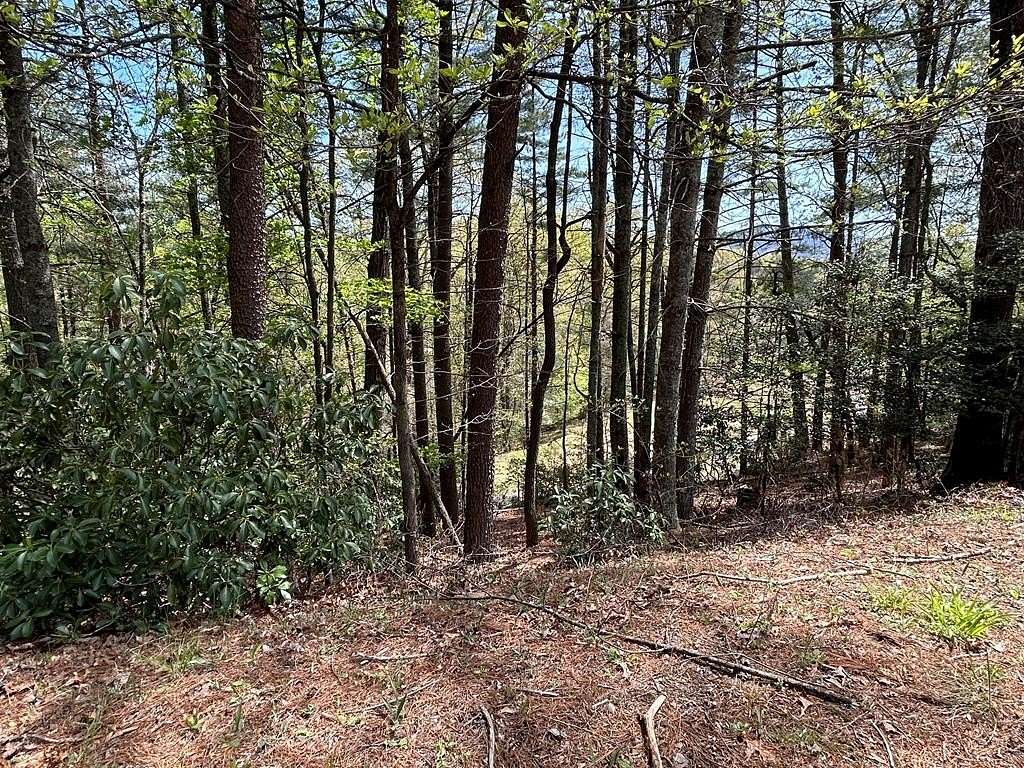 0.88 Acres of Residential Land for Sale in Ellijay, Georgia
