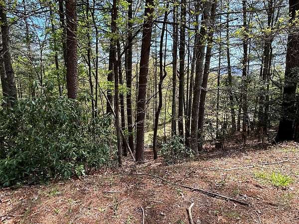 0.88 Acres of Residential Land for Sale in Ellijay, Georgia