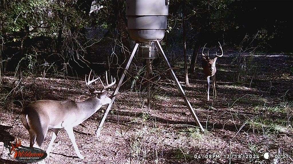 5 Acres of Residential Land for Sale in Palo Pinto, Texas