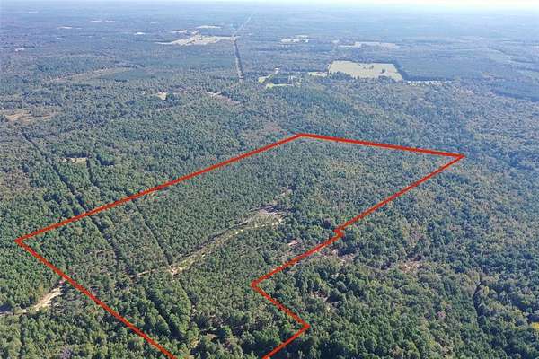 90.4 Acres of Recreational Land for Sale in Linden, Texas