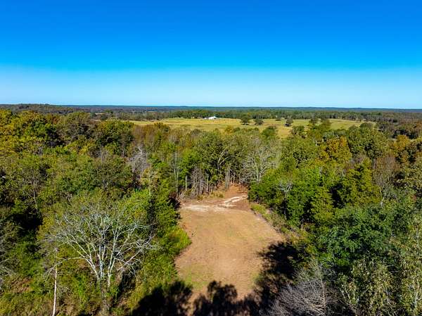 40 Acres of Recreational Land & Farm for Sale in Sidney, Arkansas