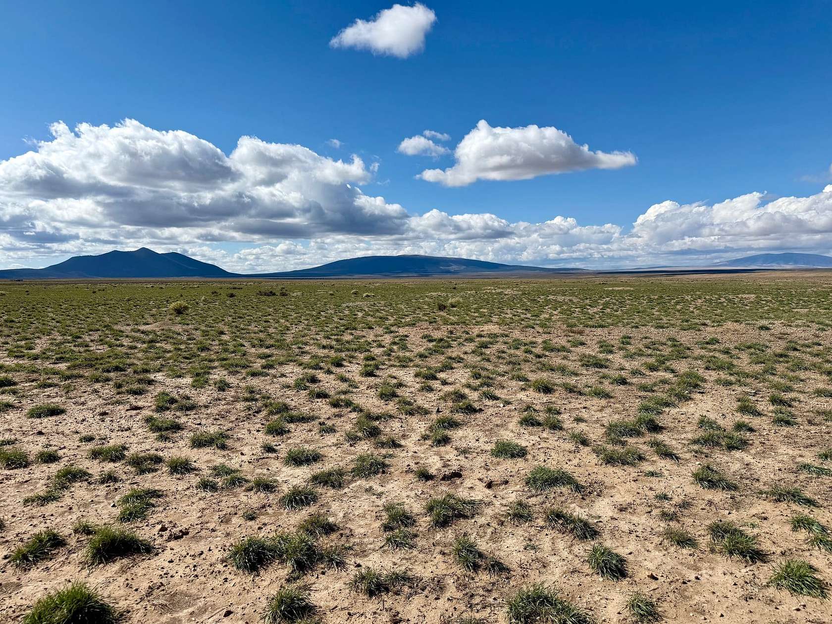 20 Acres of Recreational Land for Sale in Cerro, New Mexico