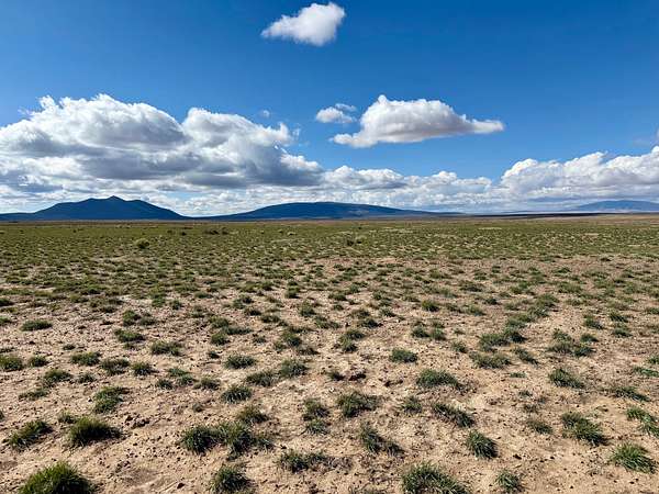 20 Acres of Recreational Land for Sale in Cerro, New Mexico
