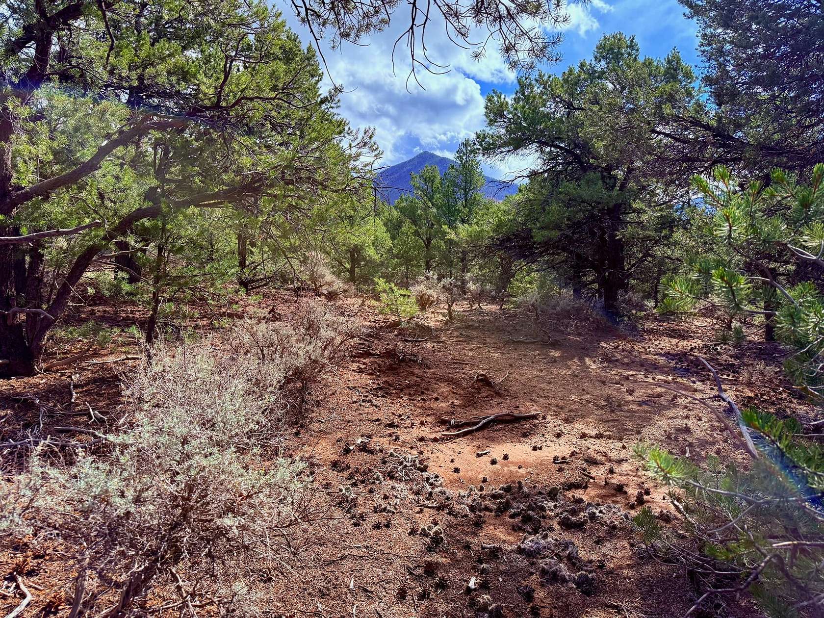 2.2 Acres of Recreational Land for Sale in Questa, New Mexico