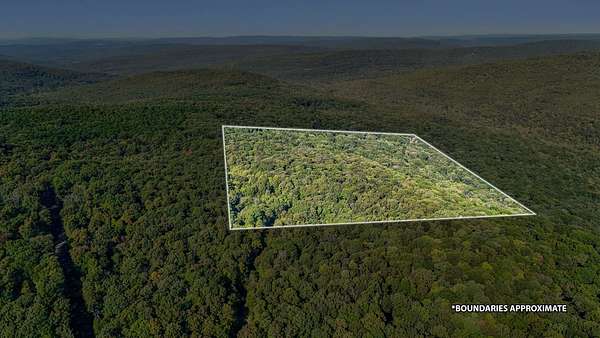 39.8 Acres of Recreational Land for Sale in Chester, Arkansas