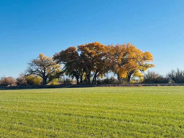 21 Acres of Agricultural Land for Sale in Las Nutrias, New Mexico