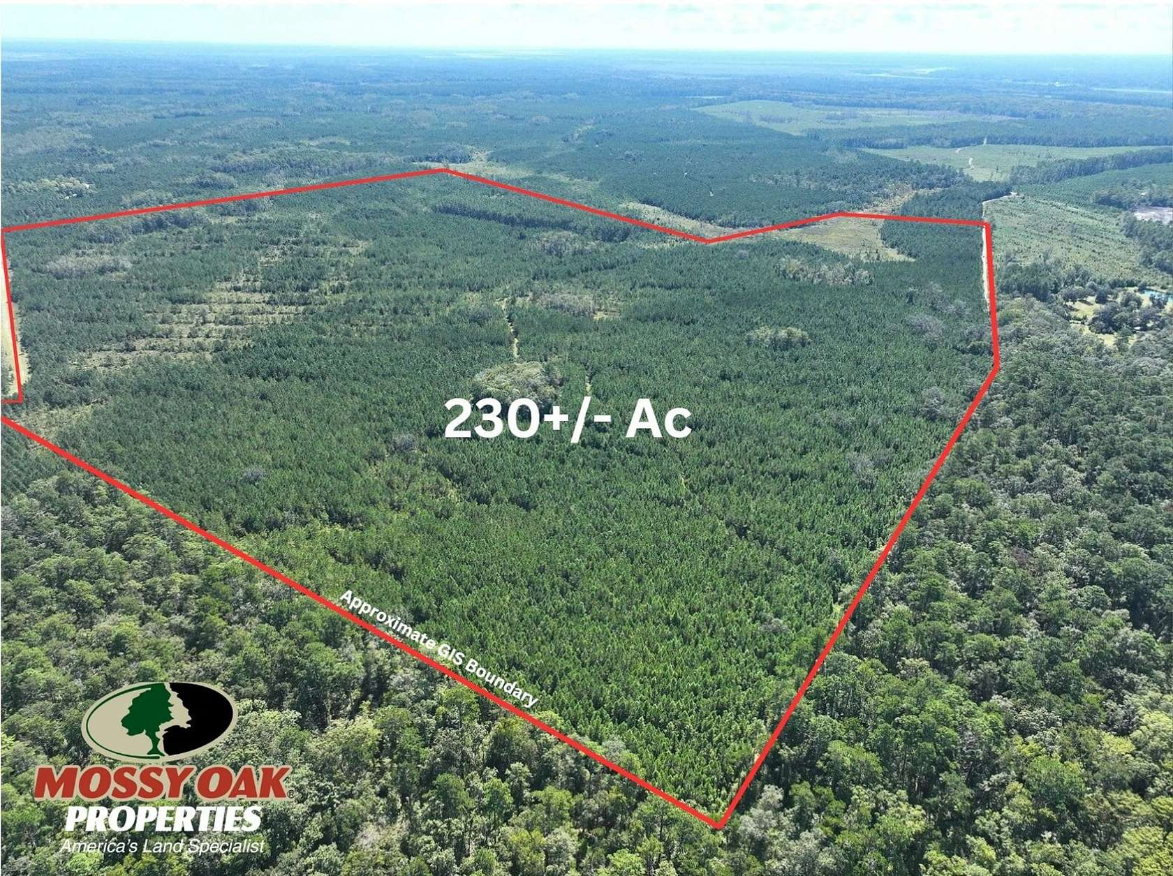 230 Acres of Recreational Land for Sale in White Oak, Georgia