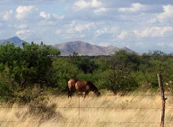 37.1 Acres of Land for Sale in St. David, Arizona