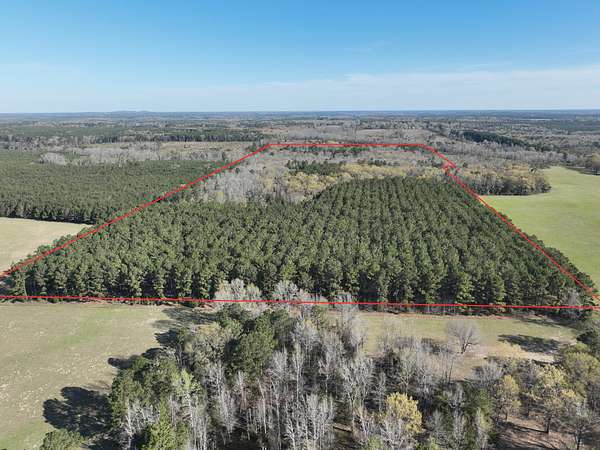 43 Acres of Recreational Land & Farm for Sale in Linden, Texas