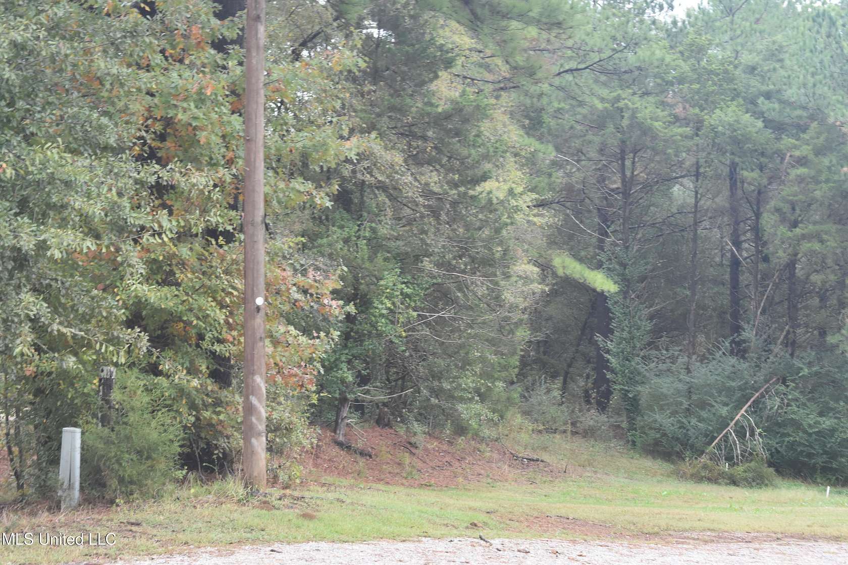32.6 Acres of Land for Sale in Olive Branch, Mississippi