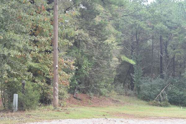 32.6 Acres of Land for Sale in Olive Branch, Mississippi