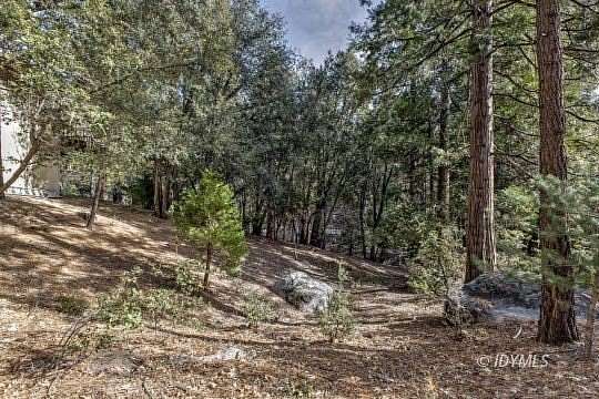 0.25 Acres of Land for Sale in Idyllwild, California