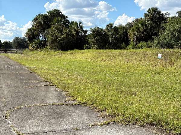 0.33 Acres of Residential Land for Sale in LaBelle, Florida