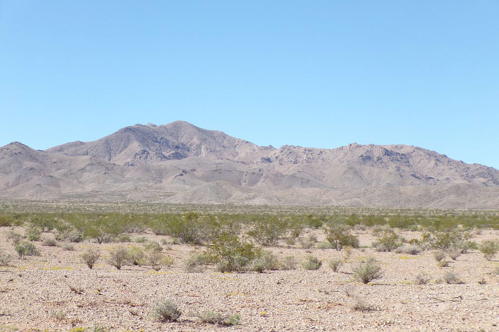 5 Acres of Residential Land for Sale in Dolan Springs, Arizona