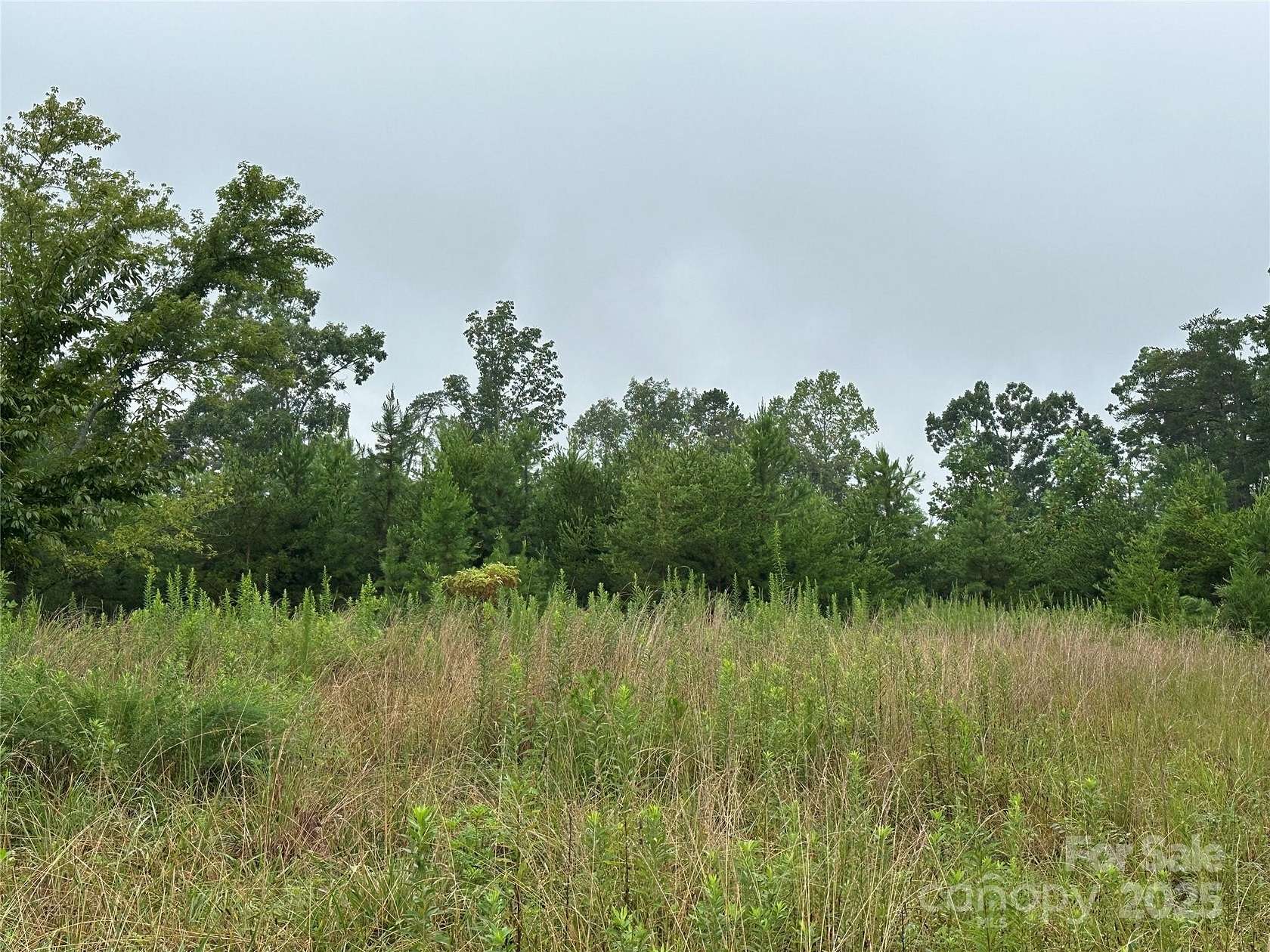 1 Acre of Residential Land for Sale in Nebo, North Carolina