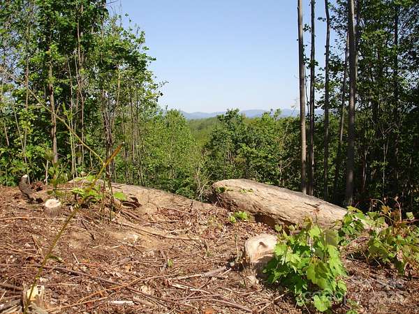 3.86 Acres of Residential Land for Sale in Marion, North Carolina