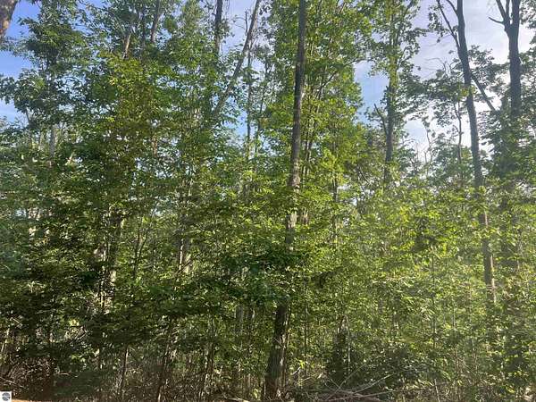 0.62 Acres of Residential Land for Sale in Mancelona, Michigan