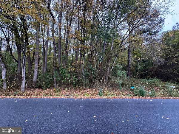 2 Acres of Residential Land for Sale in Frankford, Delaware