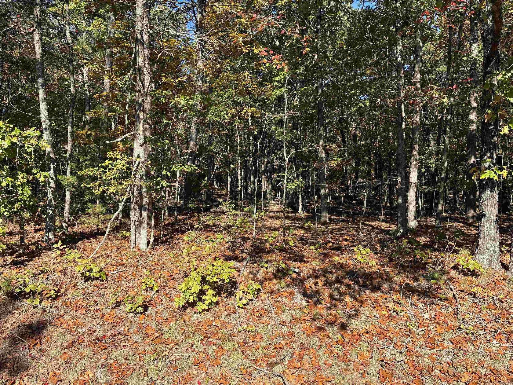 0.48 Acres of Residential Land for Sale in Fairfield Bay, Arkansas