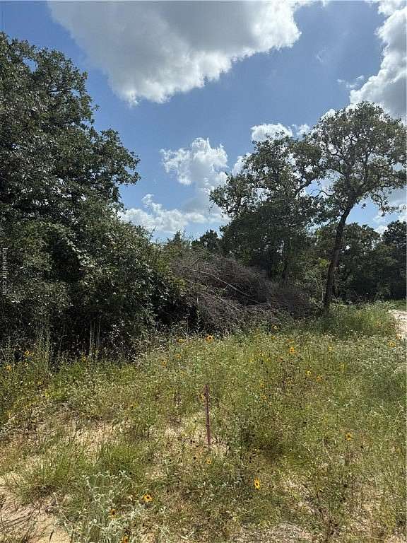 0.3 Acres of Residential Land for Sale in Caldwell, Texas