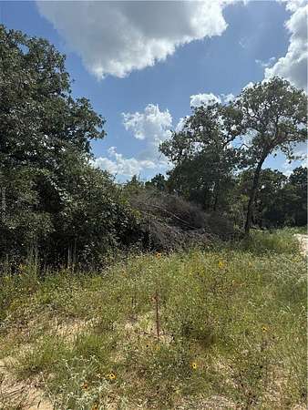 0.3 Acres of Residential Land for Sale in Caldwell, Texas