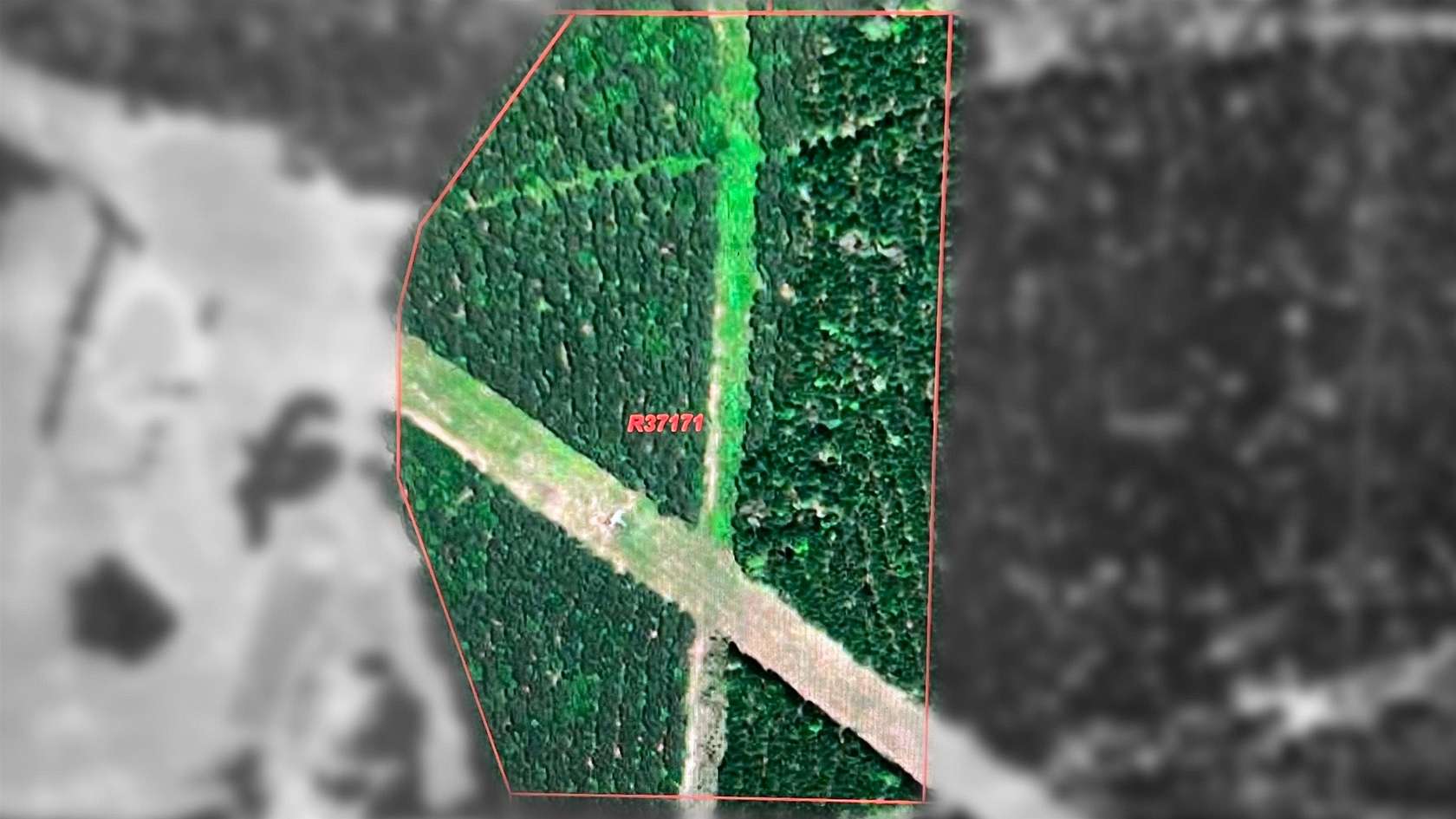 31.9 Acres of Recreational Land for Sale in Harleton, Texas