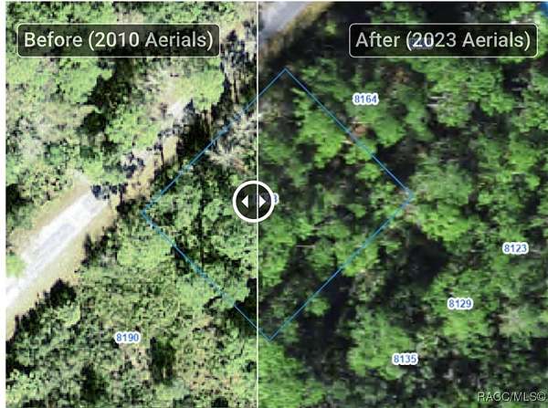 0.34 Acres of Residential Land for Sale in Homosassa, Florida