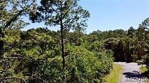 0.34 Acres of Residential Land for Sale in Homosassa, Florida