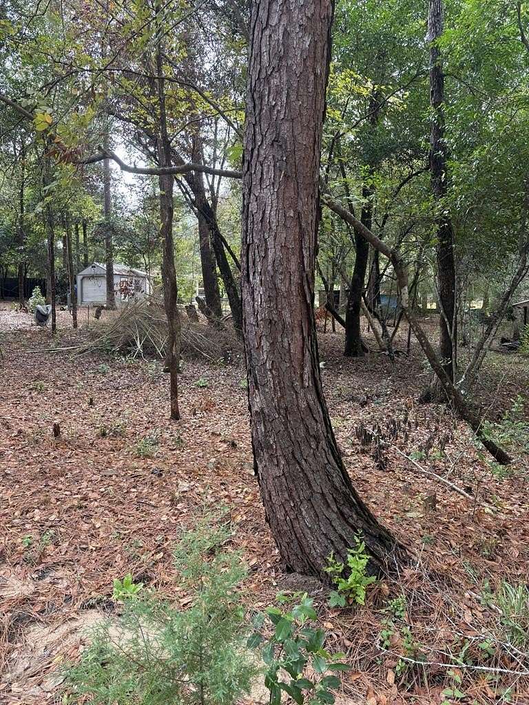 0.56 Acres of Residential Land for Sale in Woodville, Texas