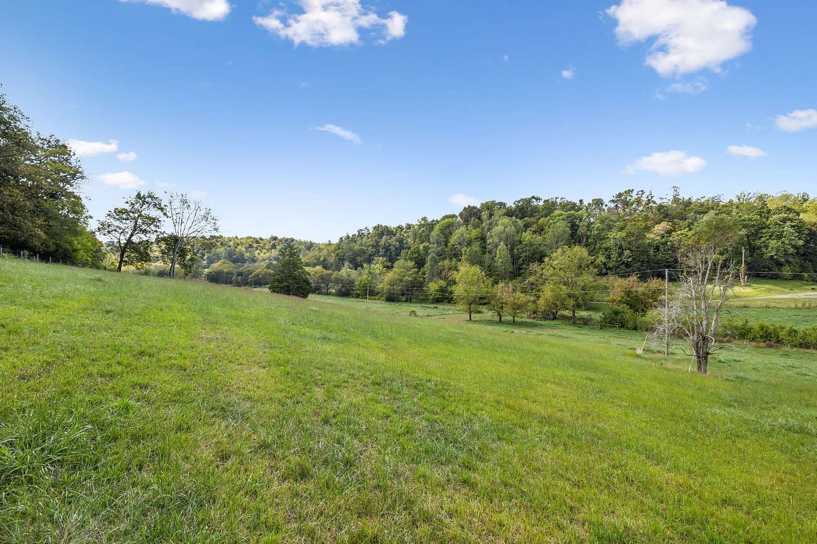 8.63 Acres of Land for Sale in Pulaski, Tennessee