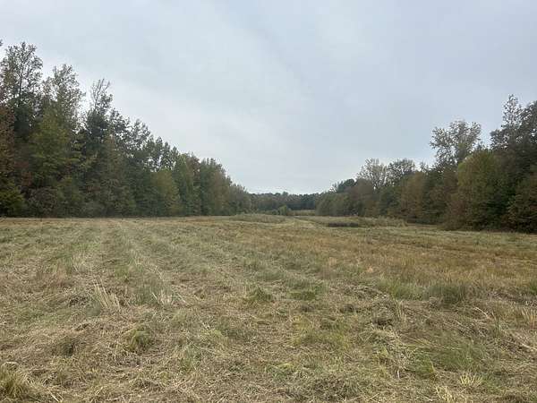 94.7 Acres of Land for Sale in Camden, Tennessee