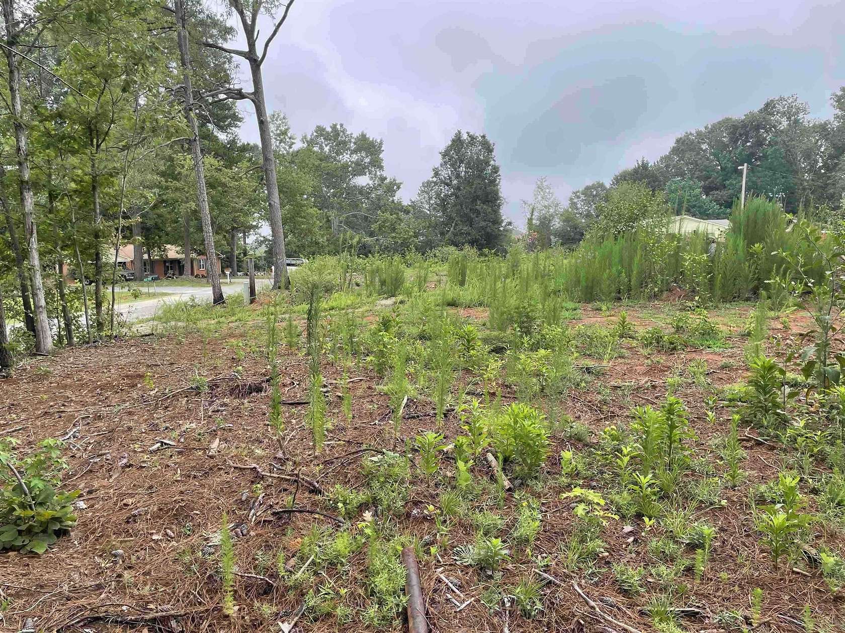 0.51 Acres of Residential Land for Sale in Chesnee, South Carolina