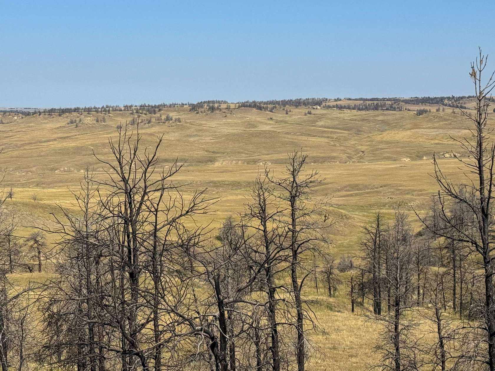 6,671 Acres of Improved Land for Sale in Hysham, Montana