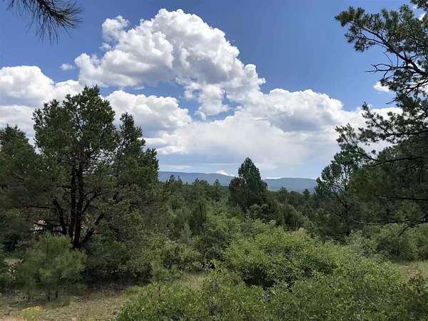 1.37 Acres of Residential Land for Sale in Pecos, New Mexico