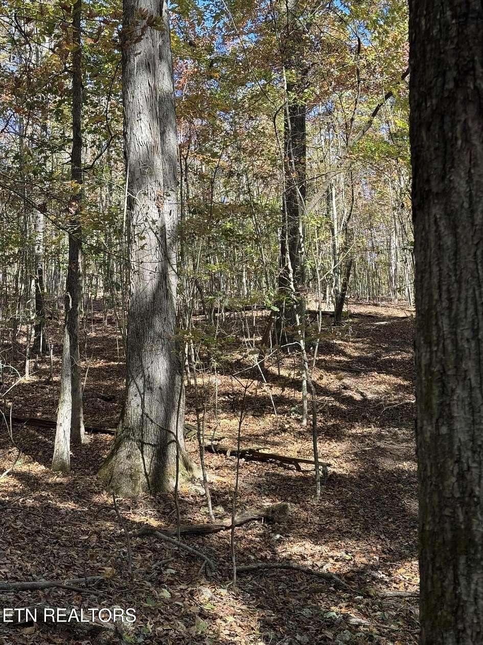 37 Acres of Land for Sale in Loudon, Tennessee