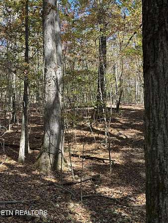 37 Acres of Land for Sale in Loudon, Tennessee