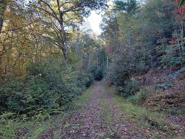 1.36 Acres of Land for Sale in Robbinsville, North Carolina