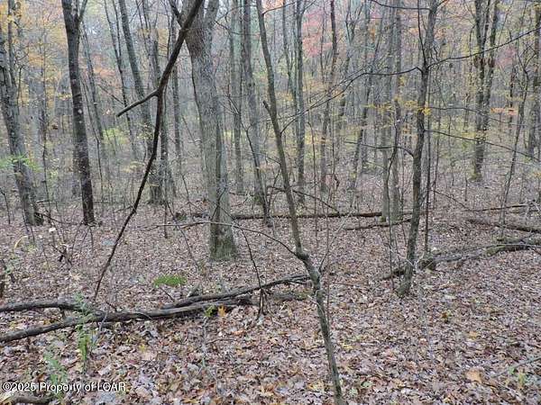 43.5 Acres of Recreational Land for Sale in Hanover Township, Pennsylvania