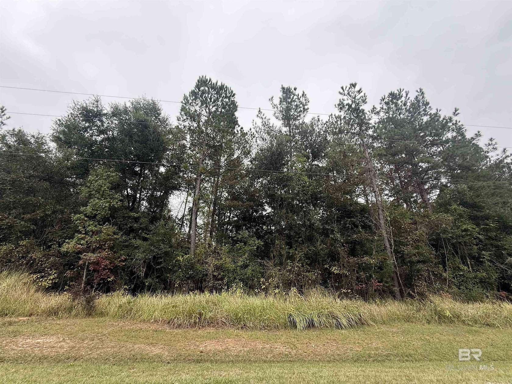 5.6 Acres of Residential Land for Sale in Bay Minette, Alabama
