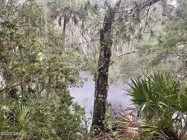 5 Acres of Residential Land for Sale in Port Orange, Florida