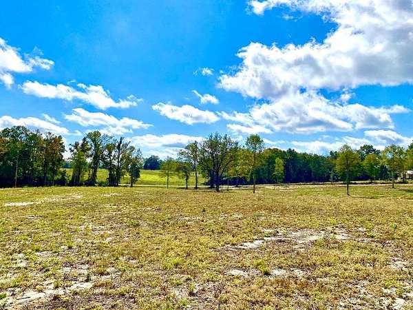 5 Acres of Residential Land for Sale in Carriere, Mississippi
